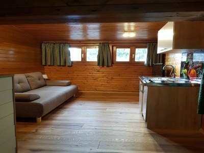 Apartment Apartment near Romerbad Thermal Spa - Features photo 11