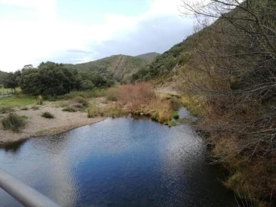 Holiday house Hütte in Navas de Estena nahe Cabañeros Park - Environment photo 29