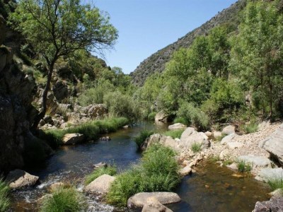Holiday house Hütte in Navas de Estena nahe Cabañeros Park - Environment photo 30