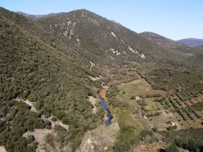 Holiday house Hütte in Navas de Estena nahe Cabañeros Park - Environment photo 31