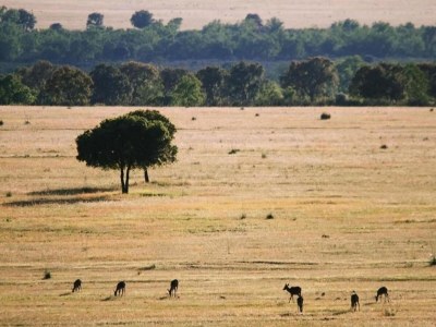 Holiday house Hütte in Navas de Estena nahe Cabañeros Park - Environment photo 32