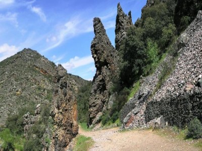 Holiday house Hütte in Navas de Estena nahe Cabañeros Park - Environment photo 36