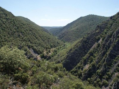 Holiday house Hütte in Navas de Estena nahe Cabañeros Park - Environment photo 37