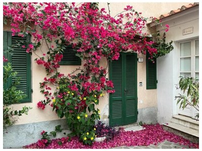 Apartment Villa Il Guardingo - Outdoor photo 11