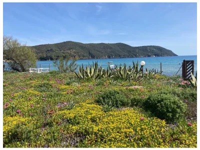 Apartment Villa Il Guardingo - Environment photo 57