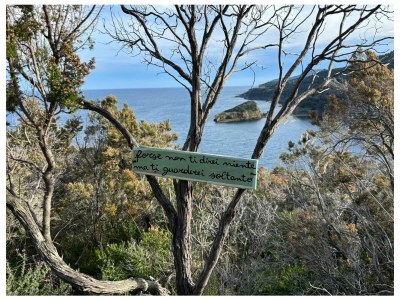 Apartment Villa Il Guardingo - Environment photo 60