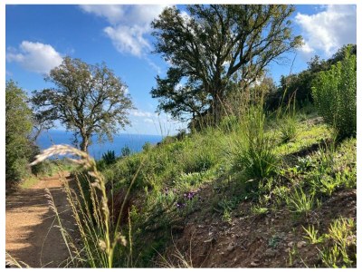 Apartment Villa Il Guardingo - Environment photo 62