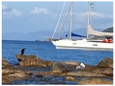 Apartment Villa Il Guardingo - Environment photo 70