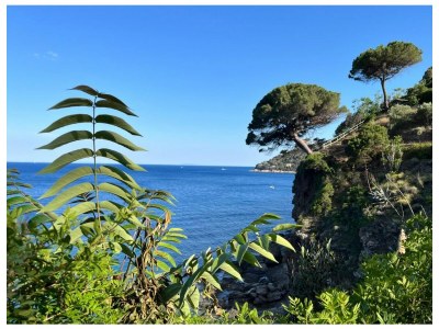 Apartment Villa Il Guardingo - Environment photo 74