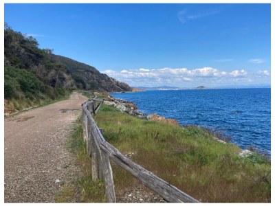 Apartment Villa Il Guardingo - Environment photo 76