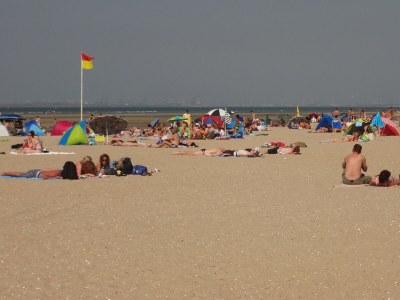 Holiday apartment Huijsmansverhuur Type A de Luxe Zuiderdiep 39 1 - Environment photo 32