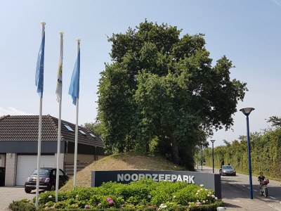 Holiday apartment Huijsmansverhuur Type A de Luxe Zuiderdiep 39 1 - Environment photo 38