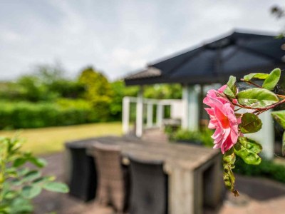 Bungalow Zoutelande - ZE1403 - Environment photo 15