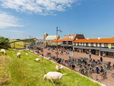 Bungalow Zoutelande - ZE1403 - Environment photo 21