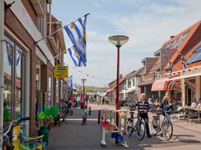 Bungalow Zoutelande - ZE1403 - Environment photo 23