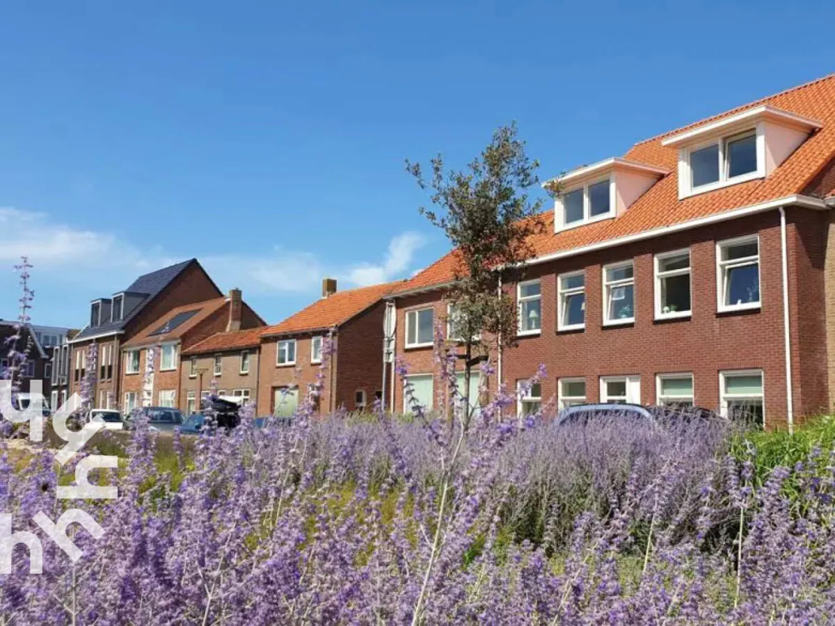 Apartment Zoutelande - ZE1421