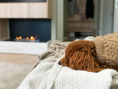 Holiday apartment Boddenblick Superior - Environment photo 25