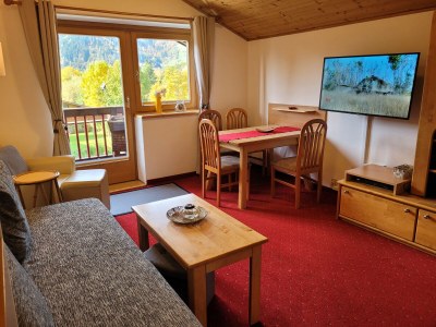 Holiday apartment Panoramablick - Haus Hollaus - Features photo 23