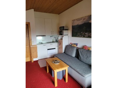 Holiday apartment Panoramablick - Haus Hollaus - Features photo 31