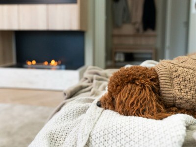 Holiday apartment Yachthafen Premium - Environment photo 26