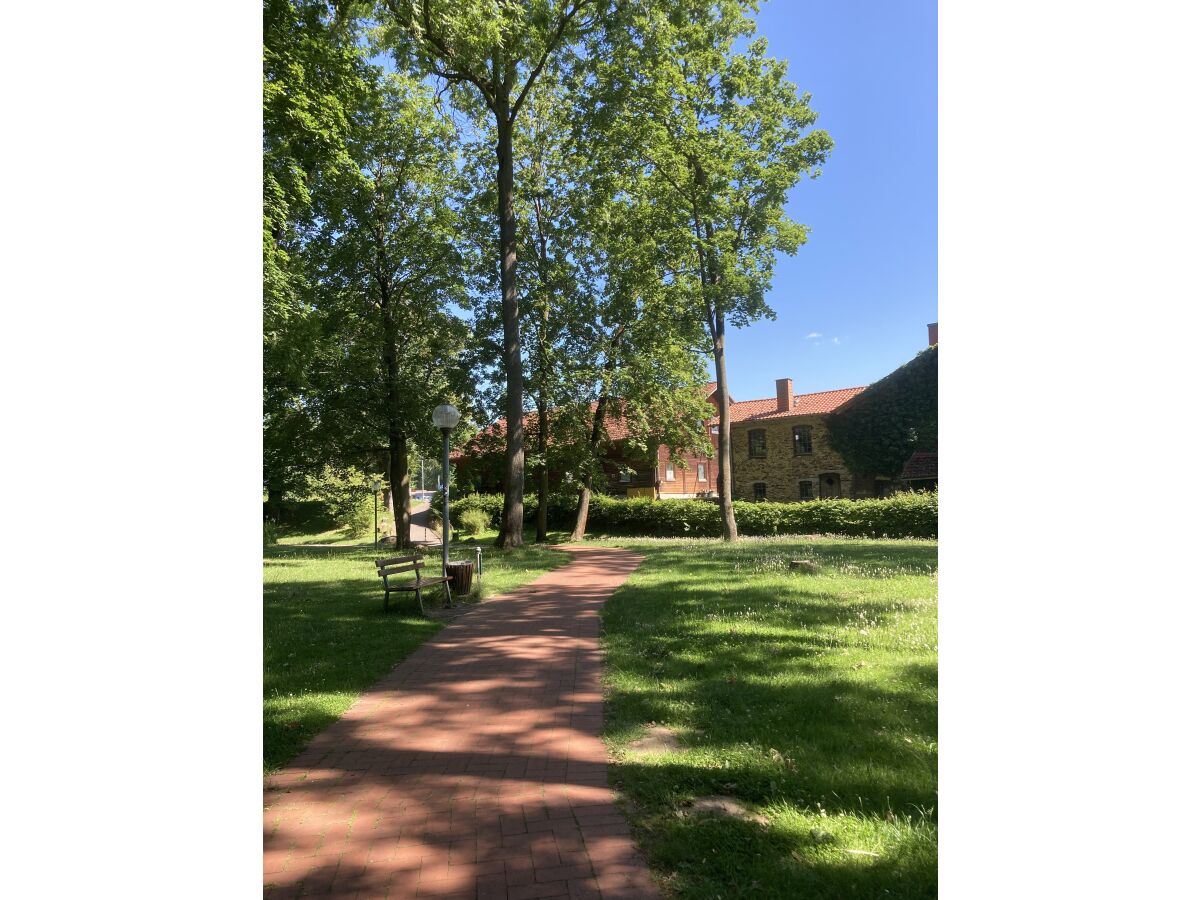 Holiday apartment Kamineiche - Outdoor photo 4