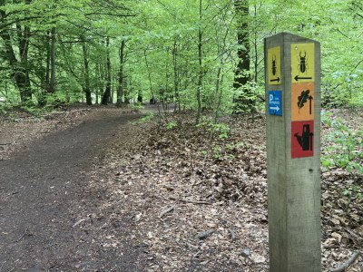 Holiday apartment Kamineiche - Environment photo 21