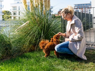 Holiday apartment No title - Environment photo 25