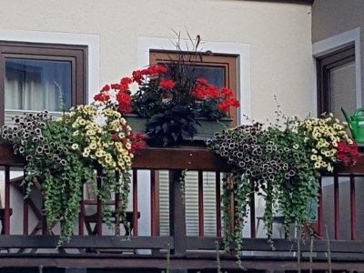 Holiday apartment Schmittenblick - House Hollaus - Features photo 21