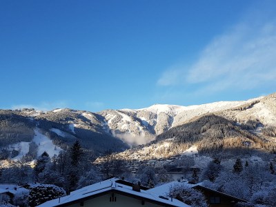 Holiday apartment Schmittenblick - House Hollaus - Environment photo 29