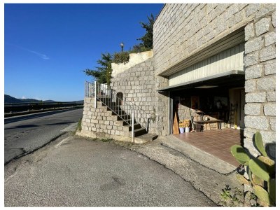 Apartment Nettuno Apartment - Outdoor photo 11