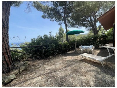 Apartment Collina sul Golfo 15 - Apartment - Outdoor photo 2