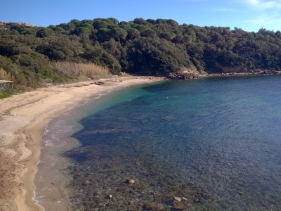 Apartment Collina sul Golfo 15 - Apartment - Environment photo 16