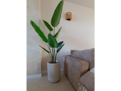 Holiday apartment Casa Buena Vista - Features photo 26