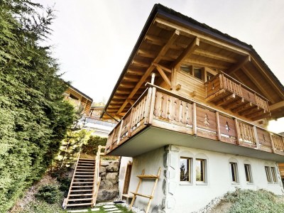 Chalet Appaloosa - FABULOUS & LUXE chalet 12 pers - Environment photo 33