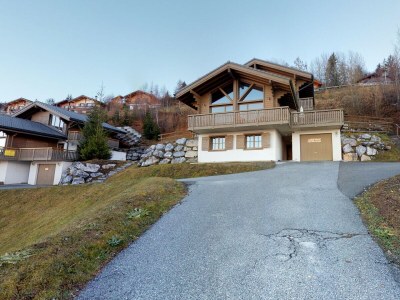 Chalet Natasha - EXCEPTIONAL & LUXE chalet 12 pers in Haute-Nendaz - Chalet