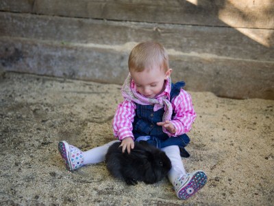 Holiday house Ladies' Mantle - Apartment - Environment photo 13
