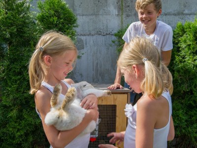 Holiday house Edelweiss Apartment - Environment photo 17