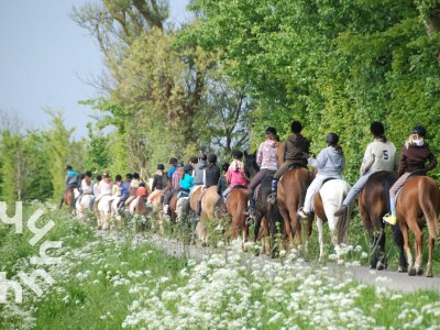 Holiday house Aagtekerke - ZE1446 - Environment photo 23