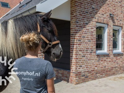 Holiday house Aagtekerke - ZE1446 - Environment photo 27