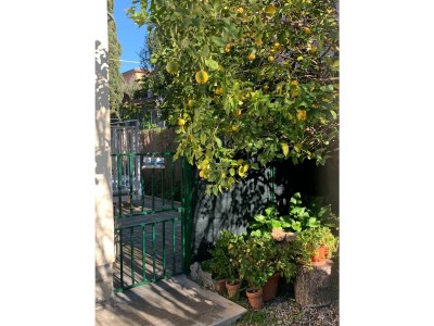 Holiday apartment Enjoy Toscana! - Outdoor photo 2