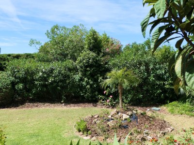 Holiday house Casa Concha - Outdoor photo 10