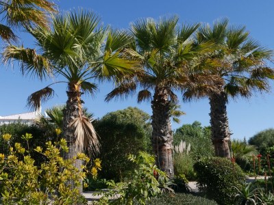 Holiday house Casa Concha - Outdoor photo 15