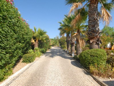 Holiday house Casa Concha - Outdoor photo 16