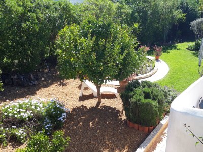 Holiday house Casa Concha - Outdoor photo 18