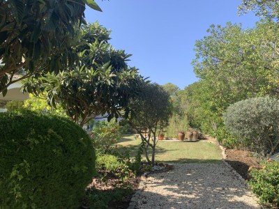 Holiday house Casa Concha - Outdoor photo 19