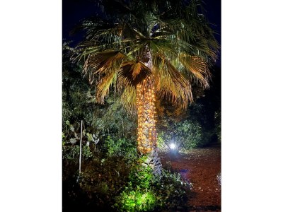 Holiday house Casa Concha - Outdoor photo 20