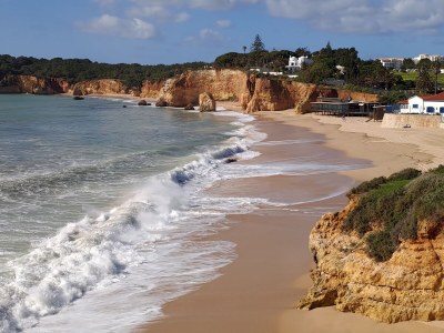 Holiday house Casa Concha - Environment photo 39