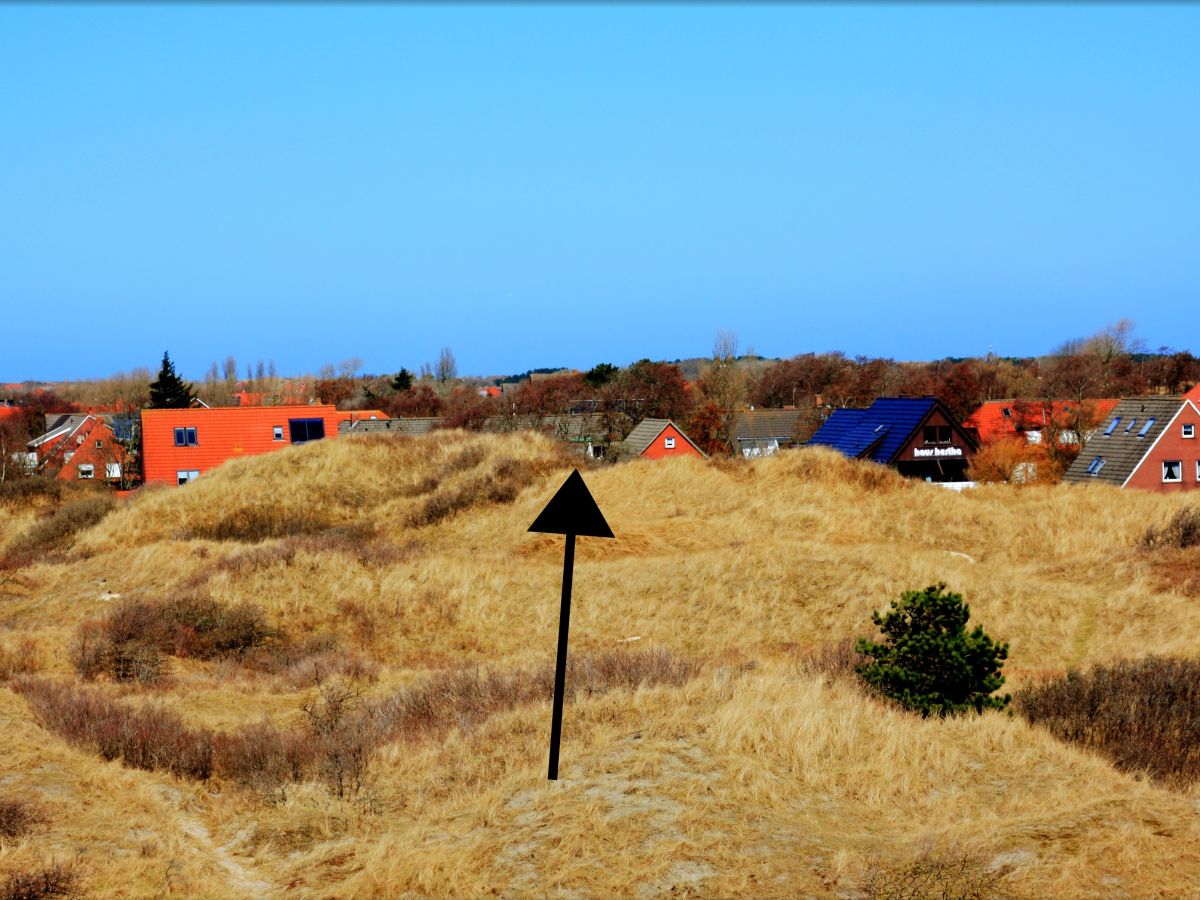 Holiday apartment Kiebitzwiese - Outdoor photo 4