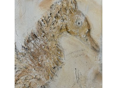 Holiday apartment Kiebitzwiese - Features photo 14