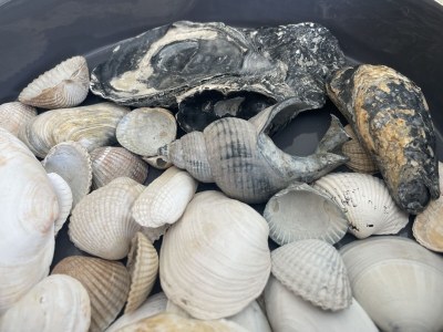 Holiday apartment Kiebitzwiese - Features photo 19